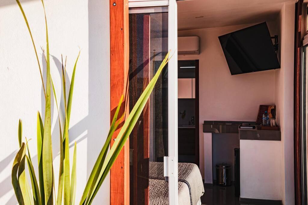 Villa Cabana El Alamo Con Jacuzzi Valle de Guadalupe Exterior foto